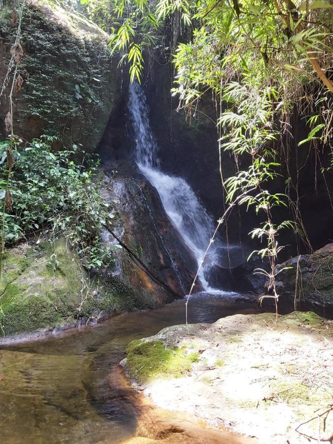 Chales Bamboo Jungle Petrópolis 外观 照片