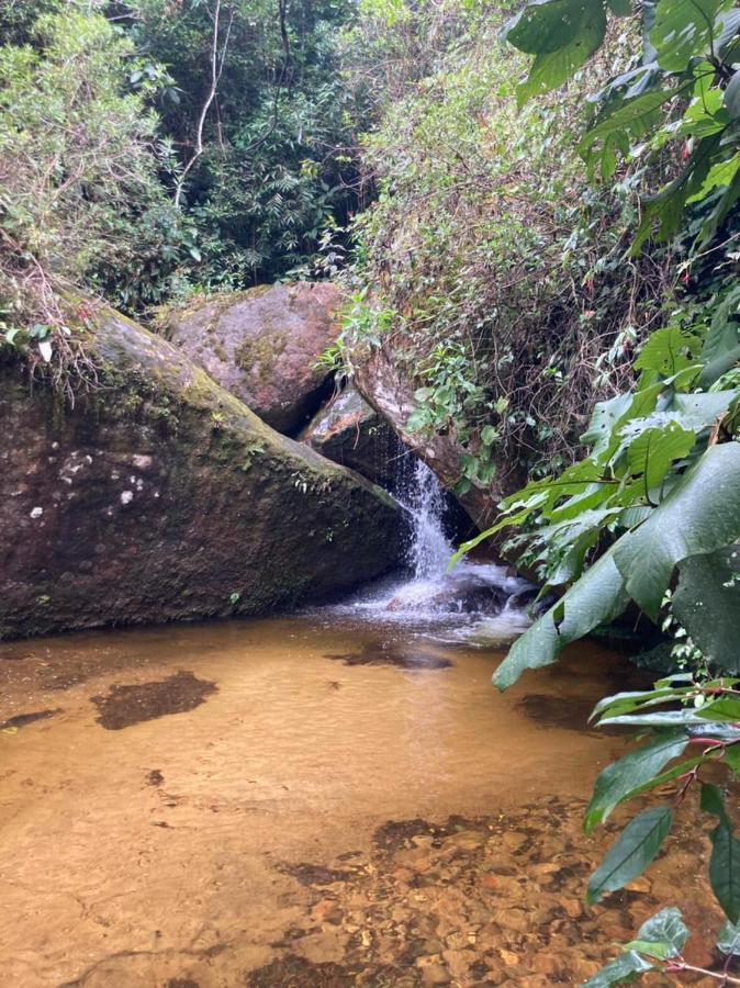 Chales Bamboo Jungle Petrópolis 外观 照片