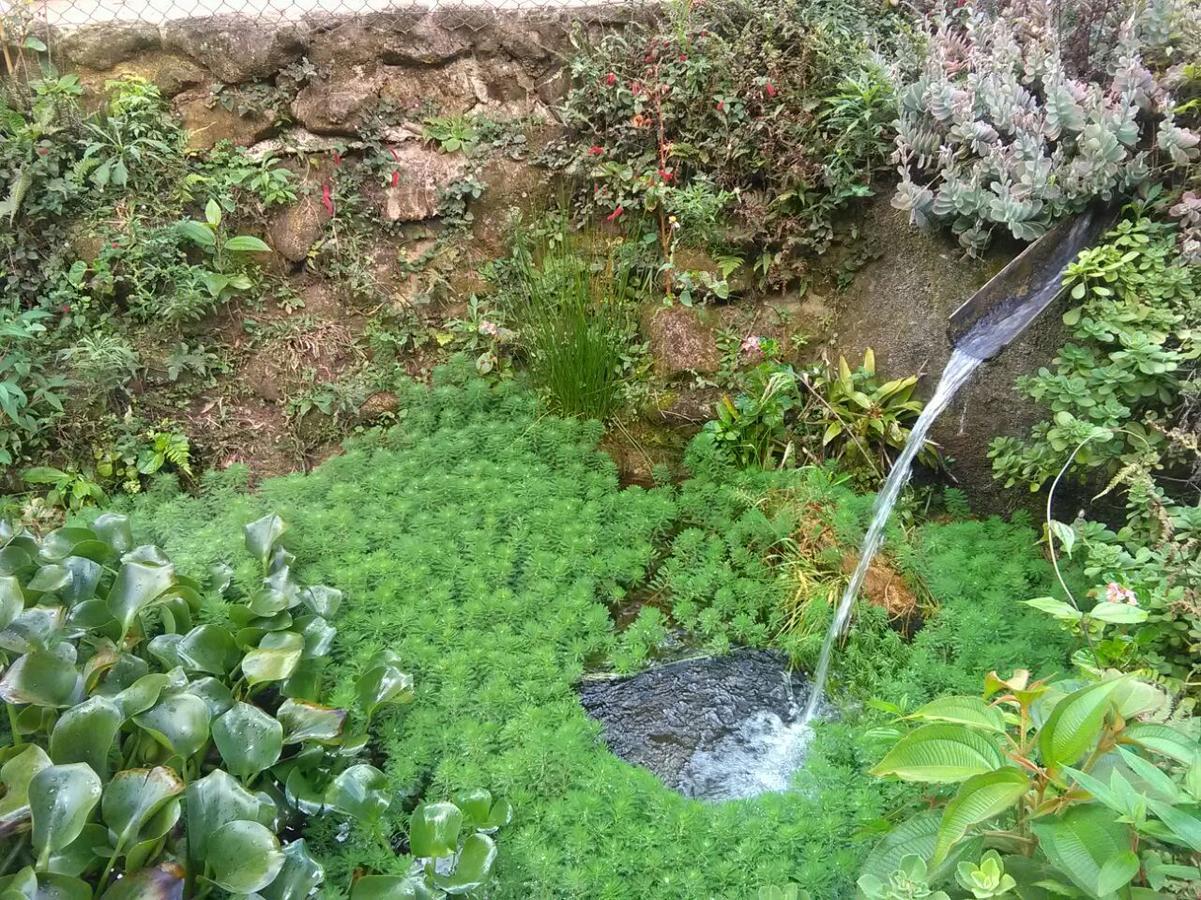 Chales Bamboo Jungle Petrópolis 外观 照片