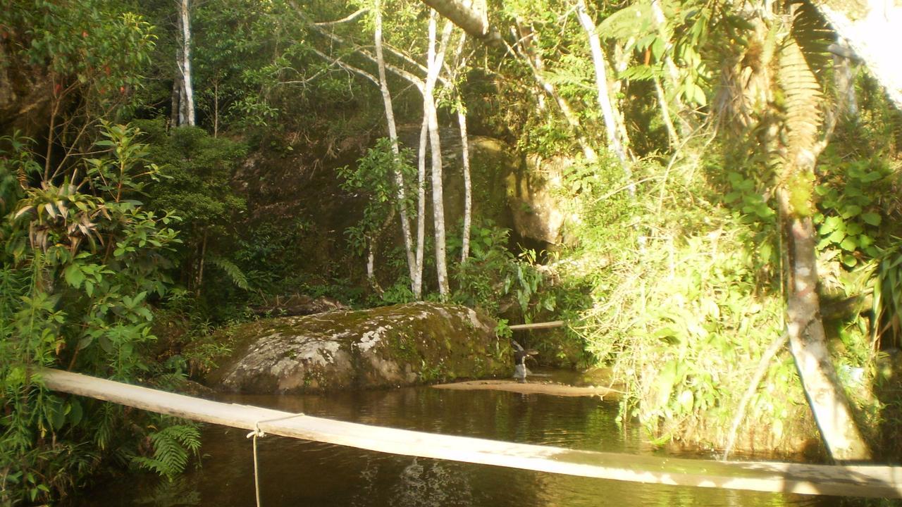 Chales Bamboo Jungle Petrópolis 外观 照片
