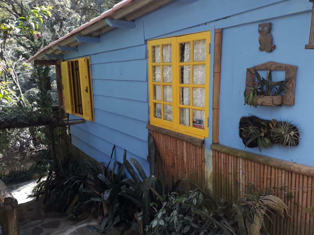 Chales Bamboo Jungle Petrópolis 外观 照片